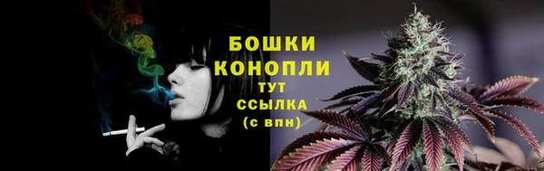 мдпв Верея