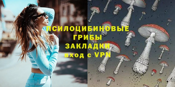 твердый Верхний Тагил