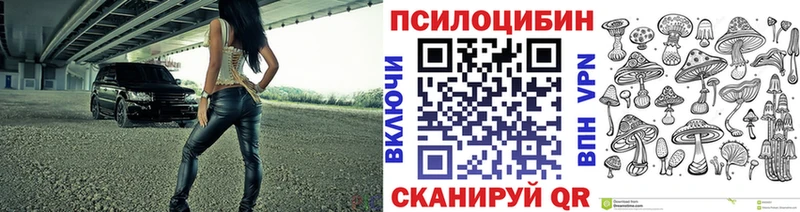 Псилоцибиновые грибы мицелий  Ростов 